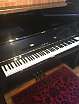 Yamaha Yamaha U1 1987